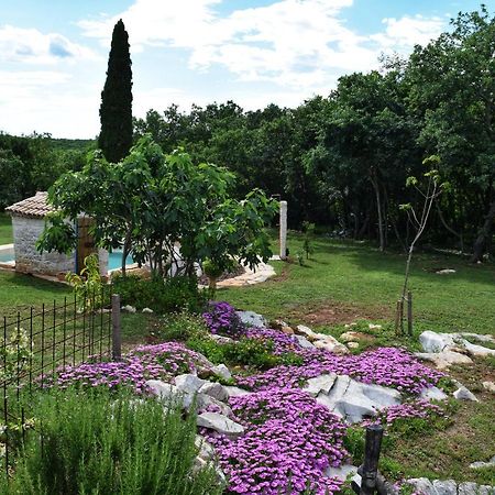 Cottage Al Merlo Olivo Бує Екстер'єр фото