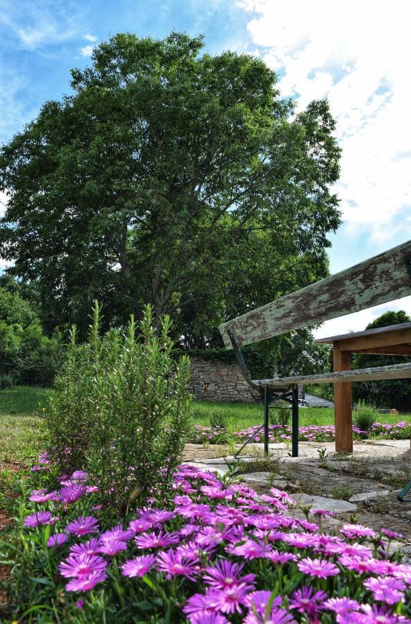 Cottage Al Merlo Olivo Бує Екстер'єр фото