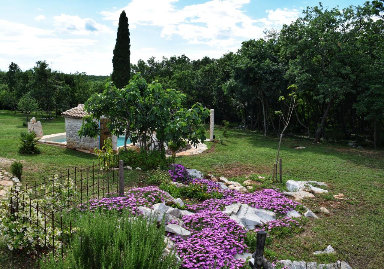 Cottage Al Merlo Olivo Бує Екстер'єр фото